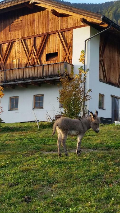 Appartements Josef Lercher San Candido Luaran gambar