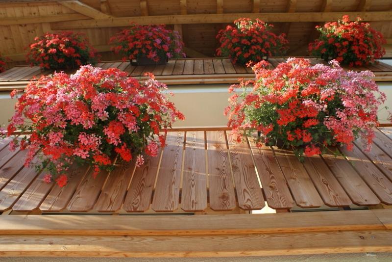 Appartements Josef Lercher San Candido Luaran gambar